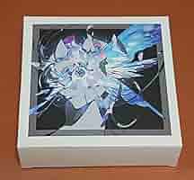 Amazon.co.jp: 米山舞 個展 EYE アクリルブロック SKIN